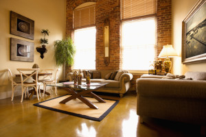 Living Room Interior