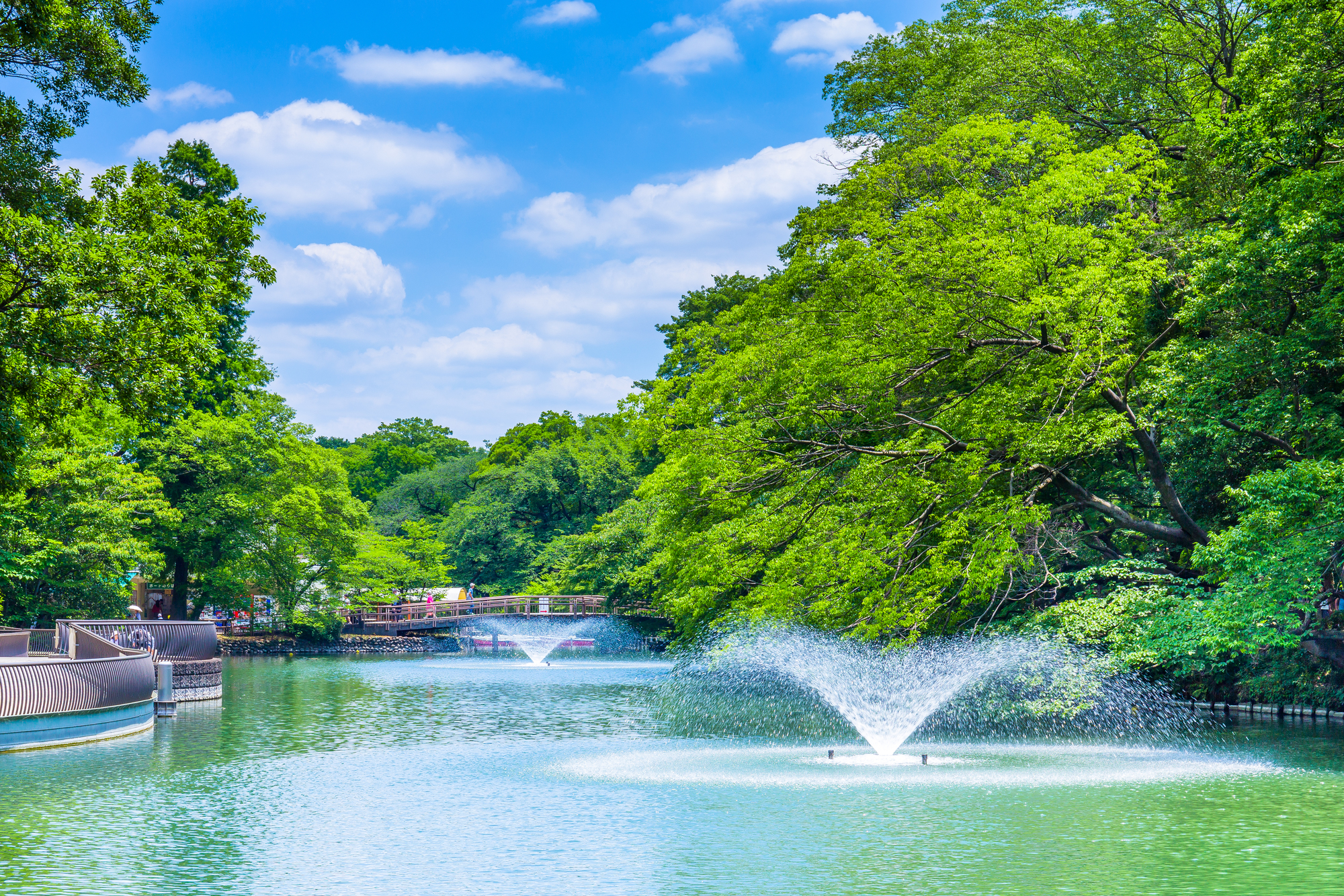 口コミで選ぶ八王子市で本当に評判のリフォーム会社9選 失敗しないリフォーム会社選びは リフォームガイド