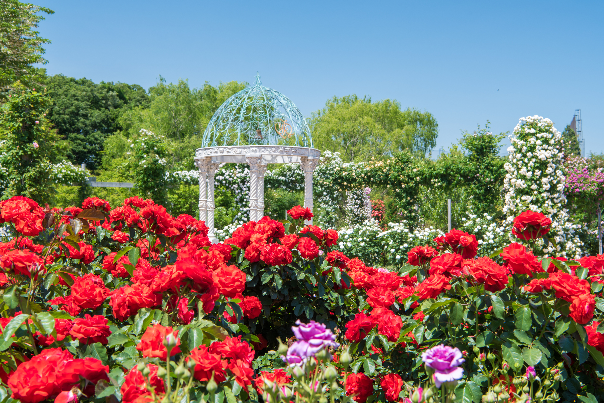 口コミで選ぶ 成田市で本当に評判のリフォーム会社10選 失敗しないリフォーム会社選びは リフォームガイド