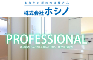 （東京都東あきる野市）ホシノ