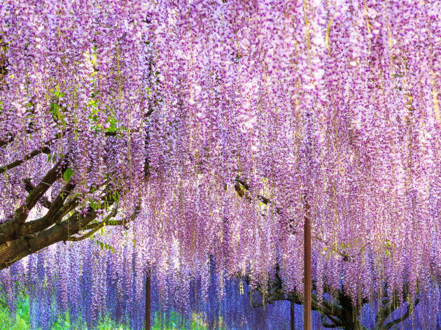 口コミで選ぶ野田市で本当に評判のリフォーム会社10選 失敗しないリフォーム会社選びは リフォームガイド