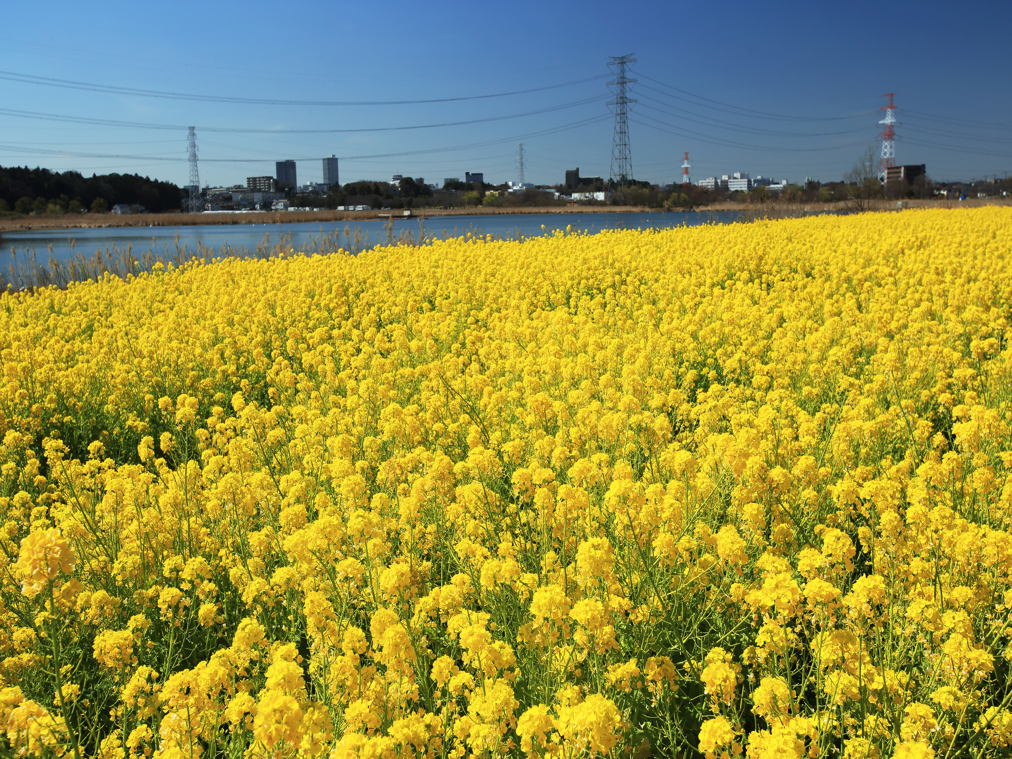 口コミで選ぶ我孫子市で本当に評判のリフォーム会社10選 失敗しないリフォーム会社選びは リフォームガイド