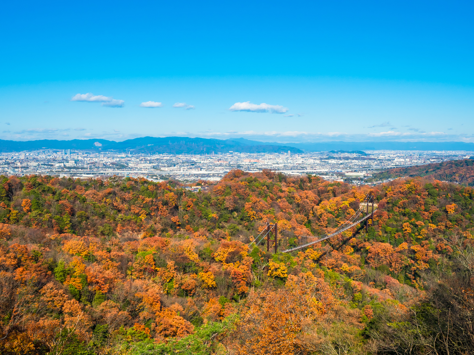 口コミで選ぶ交野市で本当に評判のリフォーム会社10選 失敗しないリフォーム会社選びは リフォームガイド 口コミで選ぶ交野市で本当に評判のリフォーム会社10選 失敗しないリフォーム会社選びは リフォームガイド