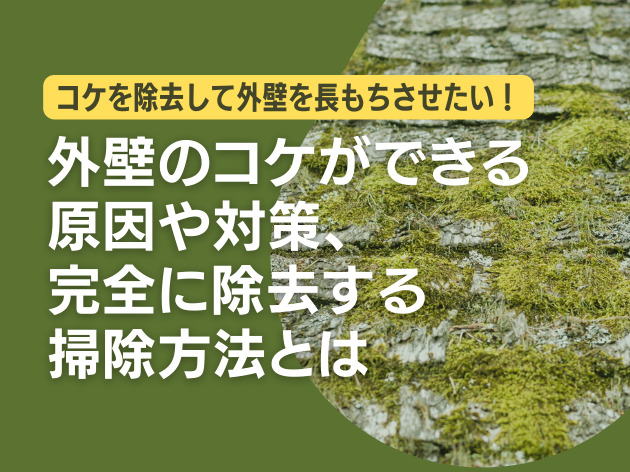 外壁のコケができる原因や対策、完全に除去する掃除方法とは