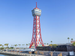 福岡市アイキャッチ