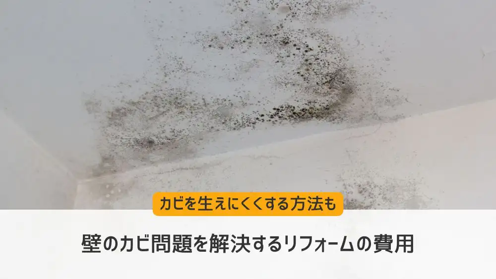 かびかび 壁のカビ問題を解決するリフォームの費用｜カビを生えにくくする方法も
