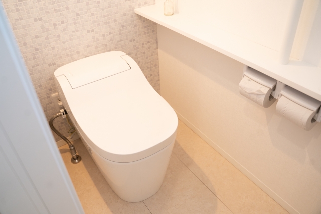 小さな柄のトイレ壁紙