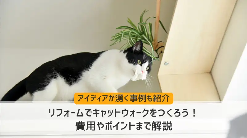 リフォームでキャットウォークをつくろう！費用やポイントまで解説
